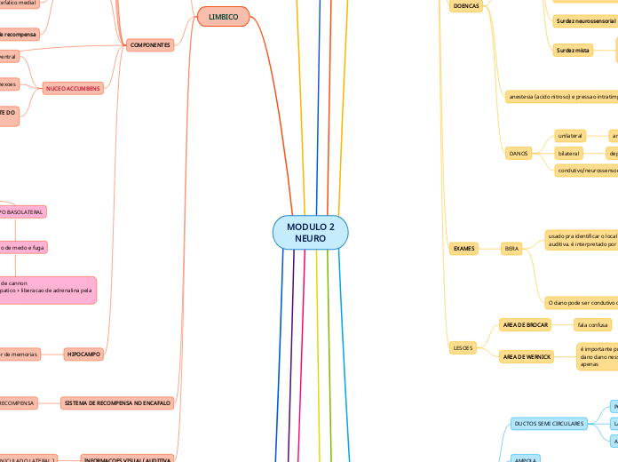 MODULO 2
NEURO