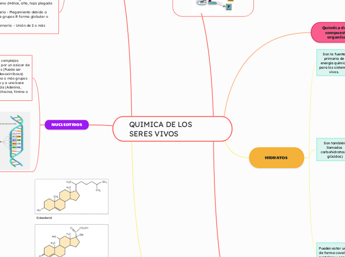 QUIMICA DE LOS SERES VIVOS