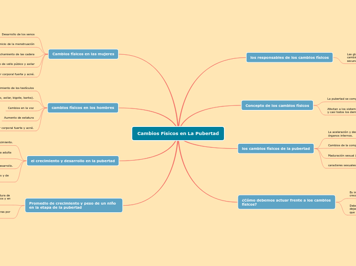 Cambios Físicos en La Pubertad