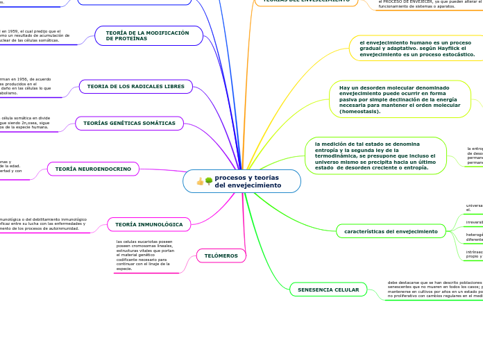 procesos y teorías del envejecimiento