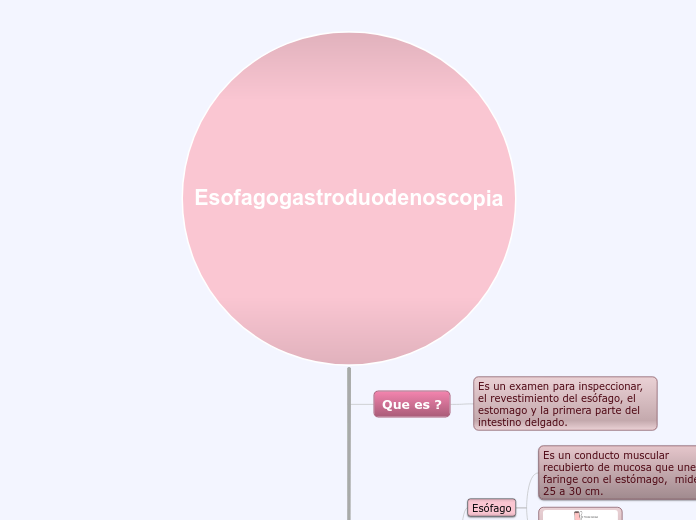 Esofagogastroduodenoscopia