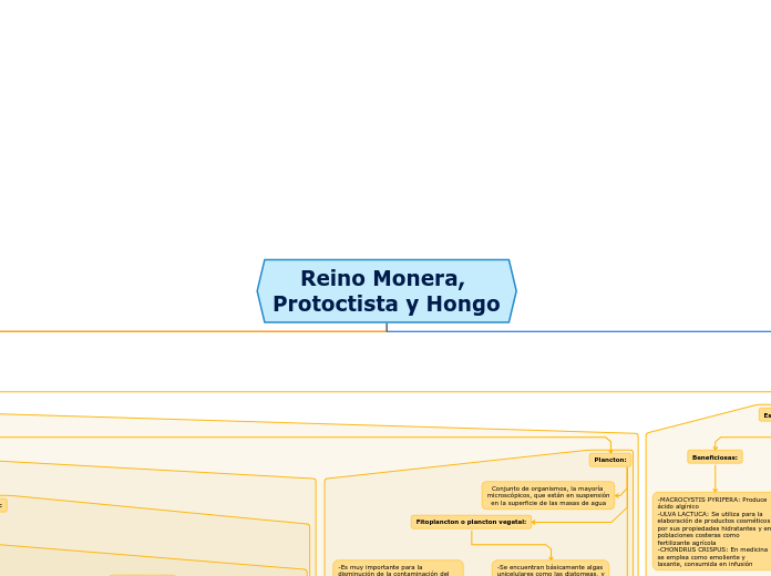 Reino Monera, Protoctista y Hongo