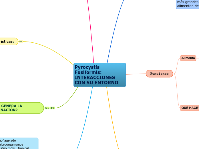 Pyrocystis Fusiformis:   INTERACCIONES CON SU ENTORNO