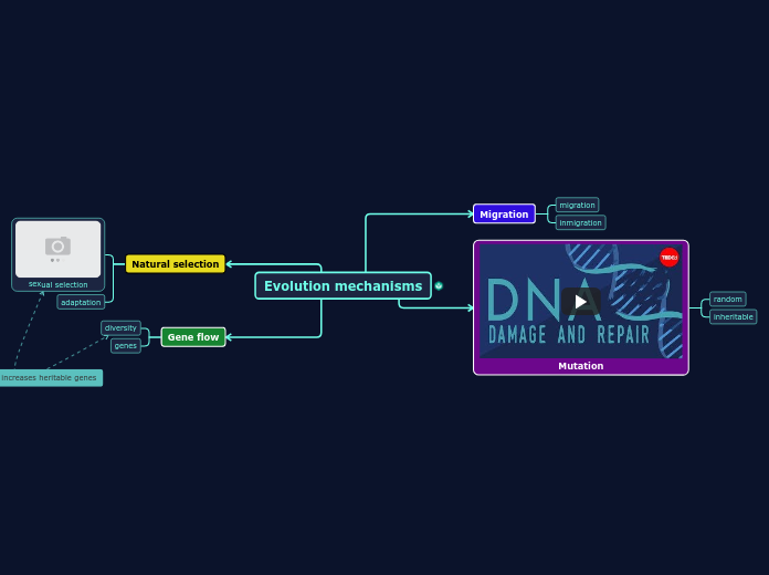 Evolution mechanisms