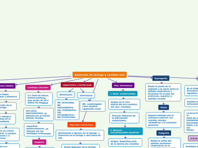 Anatomia de laringe y cavidad oral