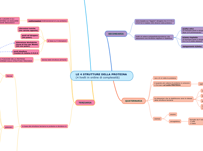 LE 4 STRUTTURE DELLA PROTEINA (4 livelli in ordine di complessità)