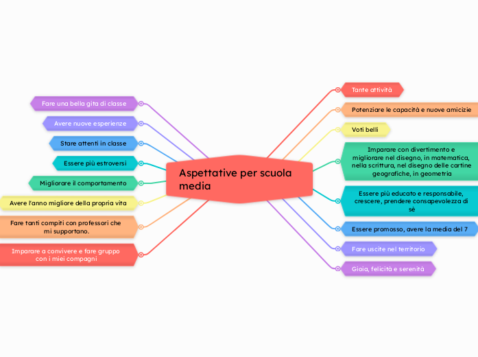 Aspettative per scuola media