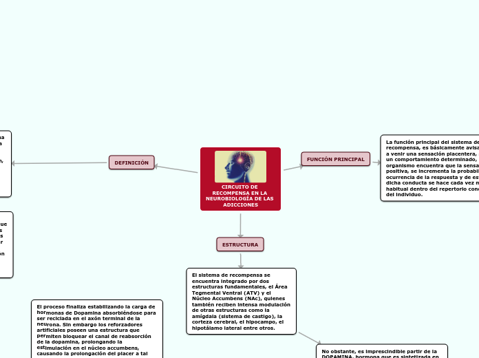 CIRCUITO DE RECOMPENSA EN LA NEUROBIOLOGÍA DE LAS ADICCIONES