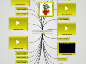 partes de las plantas