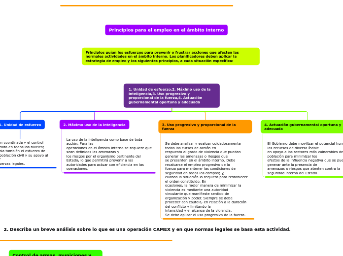 1. Unidad de esfuerzo,2. Máximo uso de la inteligencia,3. Uso progresivo y proporcional de la fuerza,4. Actuación gubernamental oportuna y adecuada