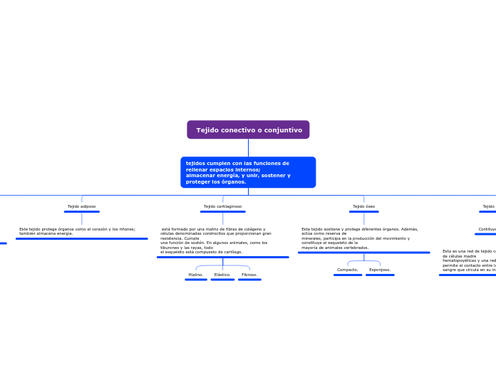  Tejido conectivo o conjuntivo