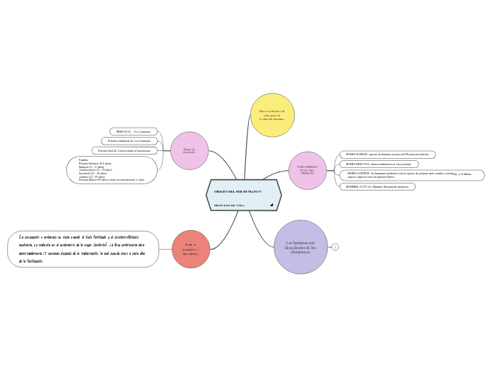ORIGEN DEL SER HUMANO Y PROCESO DE VIDA