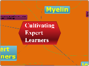 Cultivating Expert Learners