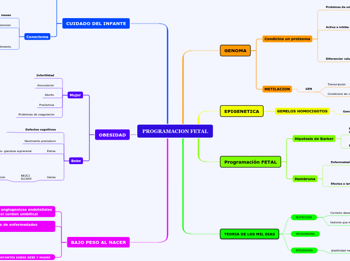PROGRAMACION FETAL