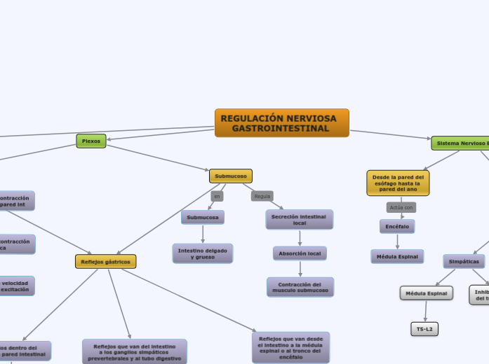 REGULACIÓN NERVIOSA    GASTROINTESTINAL 