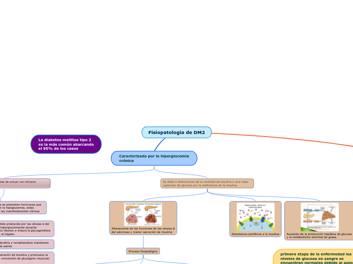 Fisiopatología de DM2