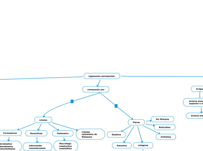 Ligamento periodontal.