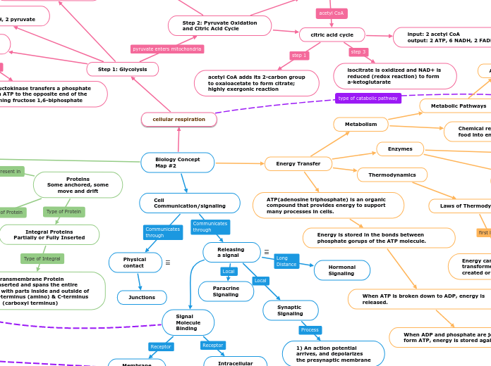 Biology Concept
Map #2