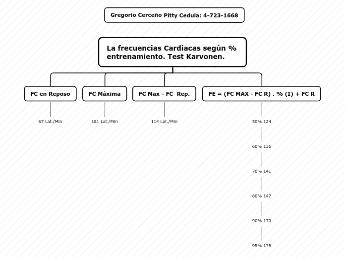 Organigrama