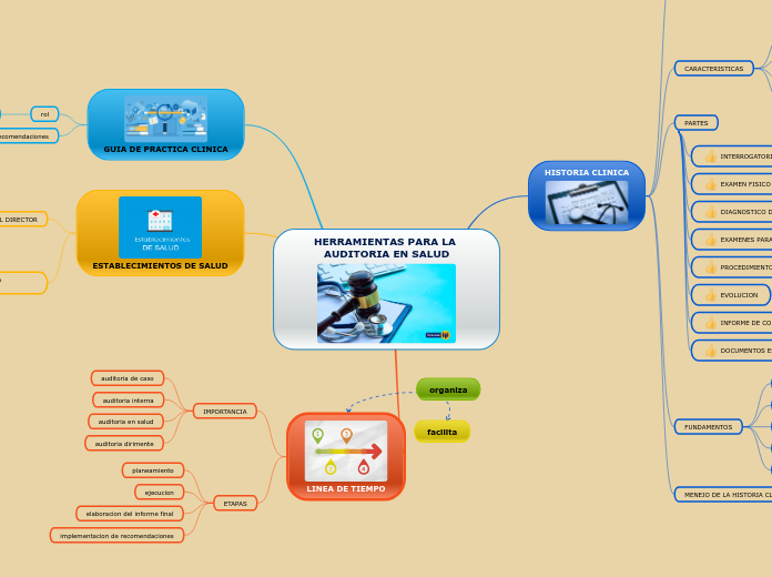 HERRAMIENTAS PARA LA AUDITORIA EN SALUD