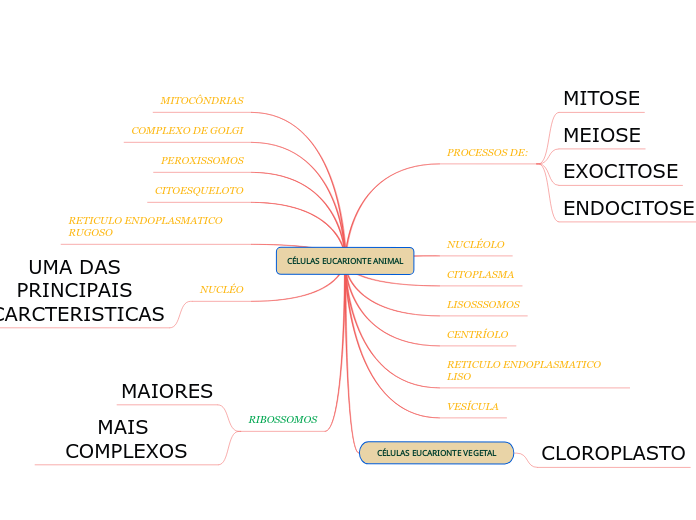 CÉLULAS EUCARIONTE ANIMAL