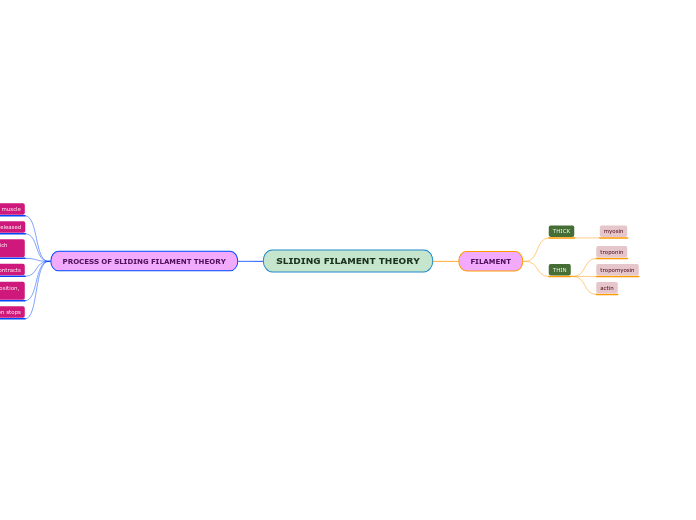 SLIDING FILAMENT THEORY