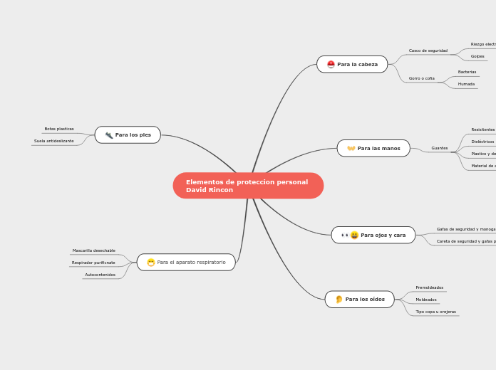 Elementos de proteccion personal David Rincon