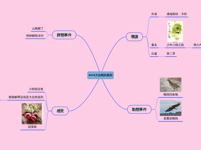 6418大自然的規則