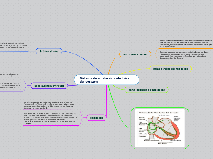 Sistema de conduccion electrica del corazon