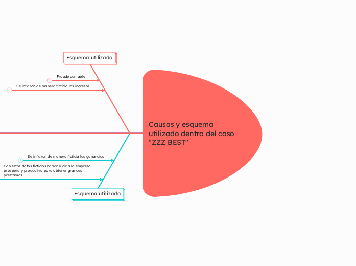 Causas y esquema utilizado dentro del caso "ZZZ BEST"