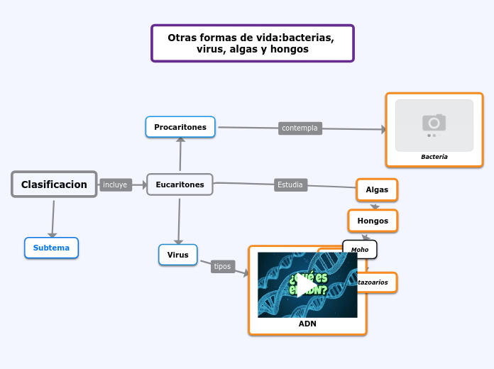 Otras formas de vida:bacterias, virus, algas y hongos