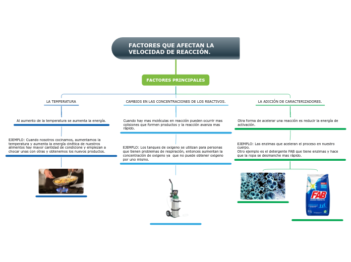 Organigrama arbol