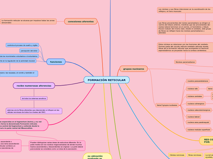 FORMACIÓN RETICULAR_pao