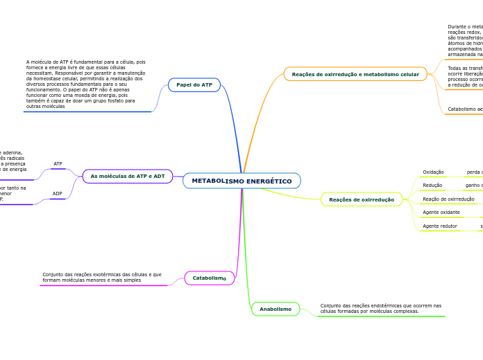 METABOLISMO ENERGÉTICO