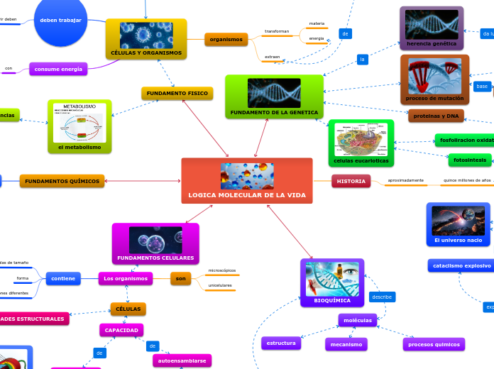 LOGICA MOLECULAR DE LA VIDA