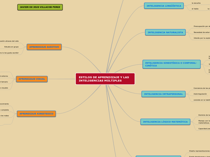 ESTILOS DE APRENDIZAJE Y LAS INTELIGENCIAS MÚLTIPLES