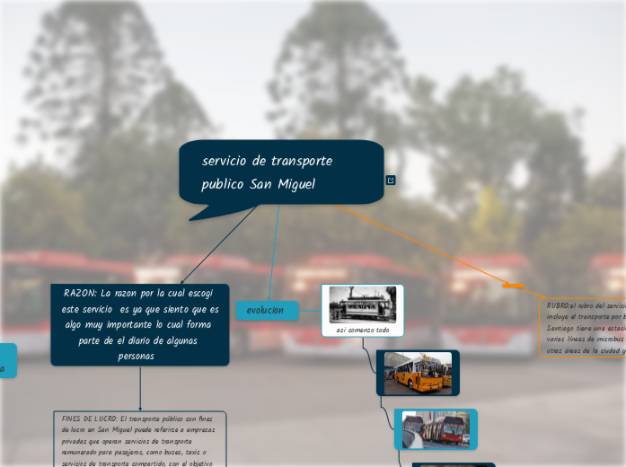 servicio de transporte    publico San Miguel 
