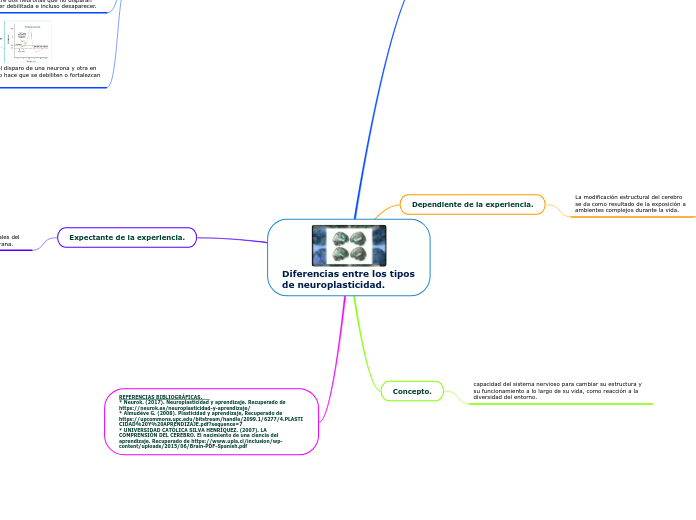 Diferencias entre los tipos de neuroplasticidad.