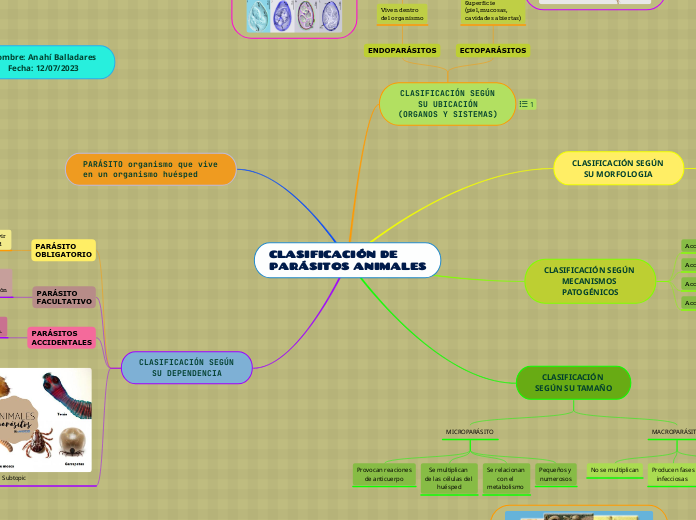 CLASIFICACIÓN DE 
PARÁSITOS ANIMALES