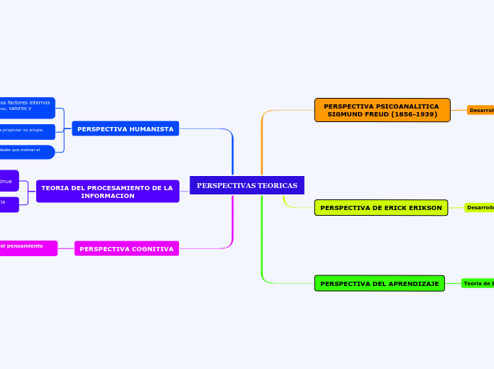 PERSPECTIVAS TEORICAS