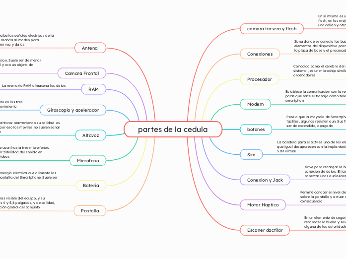 partes de la cedula