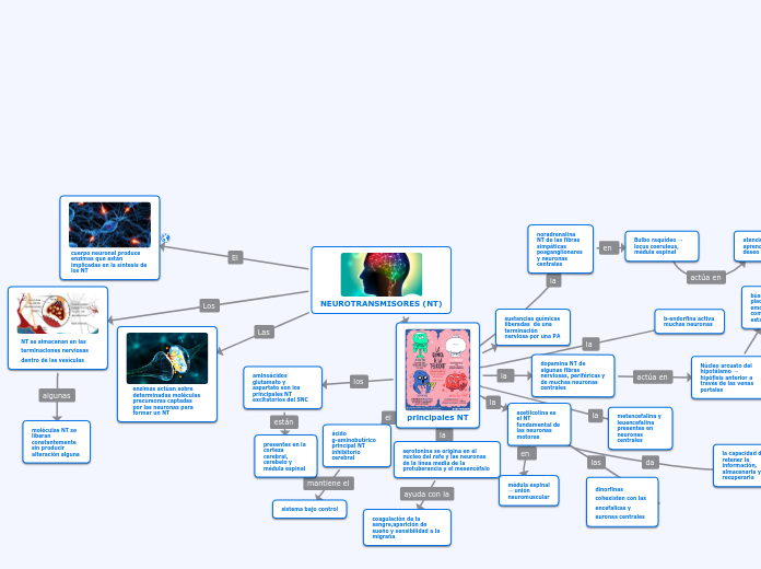 NEUROTRANSMISORES (NT)