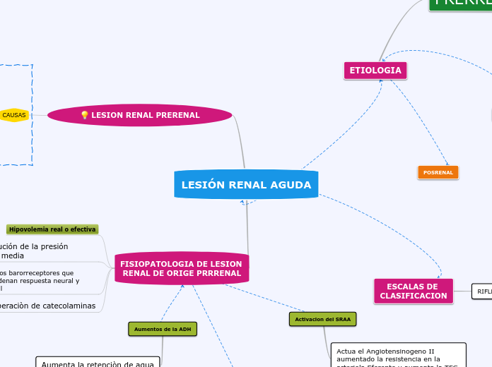 LESION RENAL PRERENAL