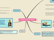 Sample Mind Map