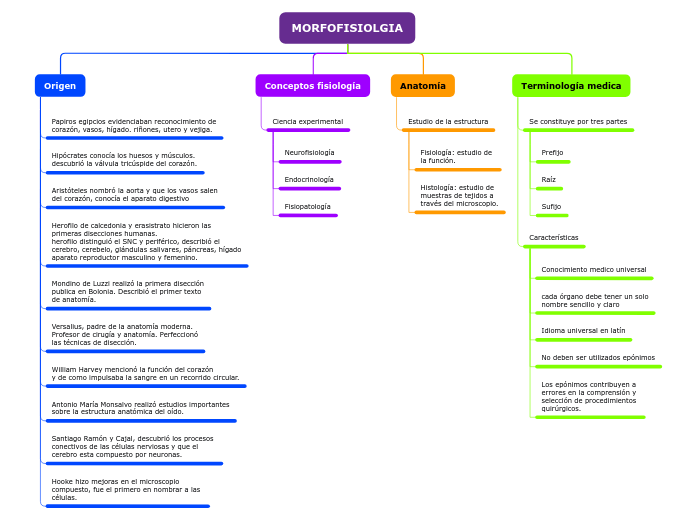 Organigrama arbol