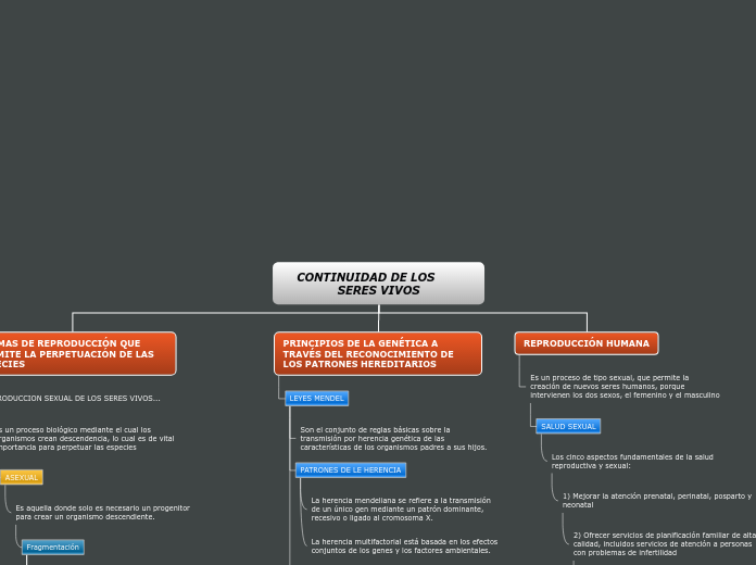 Organigrama arbol