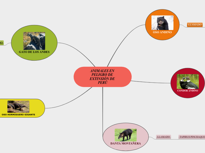 ANIMALES EN PELIGRO DE EXTINSIÓN DE PERÚ