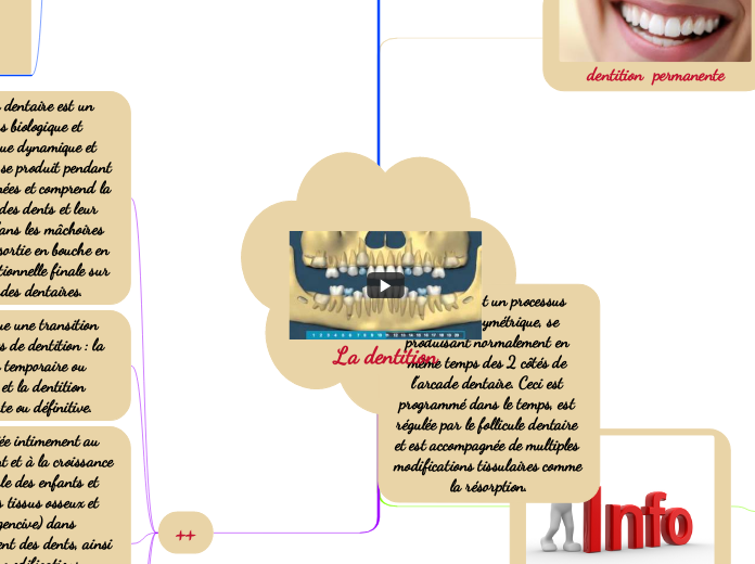 La dentition