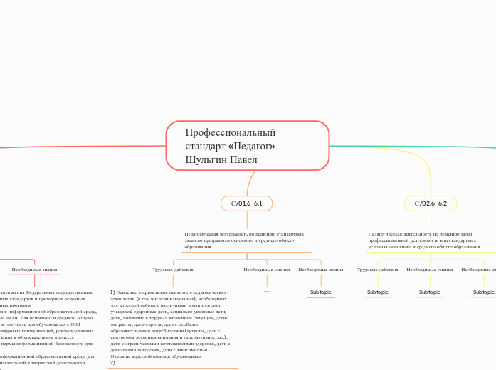 Профессиональный стандарт «Педагог» Шульгин Павел