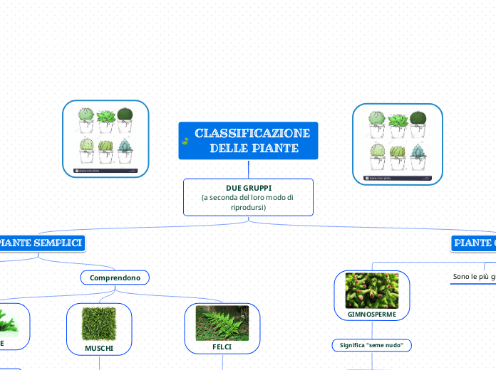 CLASSIFICAZIONE DELLE PIANTE